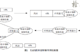 凝血酶激活的纤溶抑制物（TAFI）检测的临床意义