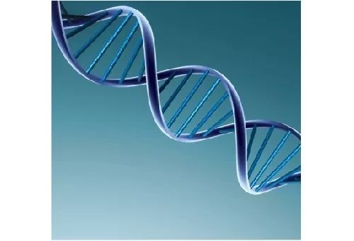 检验医学与个性化医疗（四）— 个体化医学实验室建设