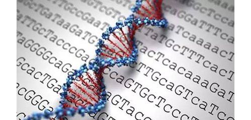 循证检验医学与实验室质量控制
