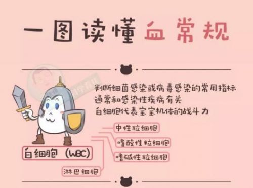 血常规就要这样看，既有趣又容易！