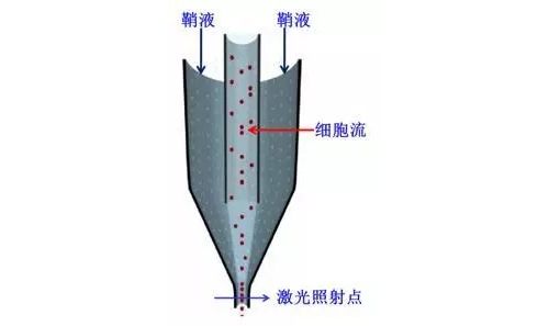 简述流式细胞仪检测原理（一）