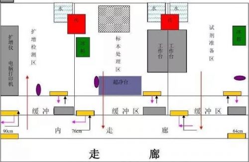 PCR实验室规划设计，一切从0开始（一）