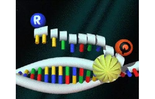 PCR、RT-PCR、qPCR、Real-Time PCR、RT-qPCR...你真的能区分开吗？