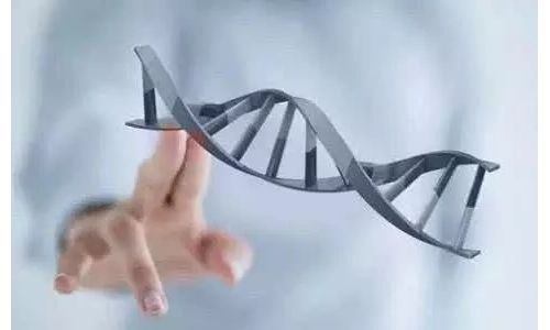 血液样本分析前变量对组学研究的影响：迈向精准样本存储