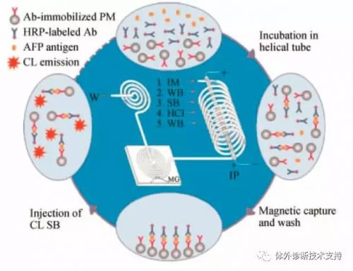 化学发光免疫分析方法（上）