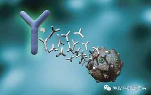神经系统自身免疫病相关抗体的临床应用