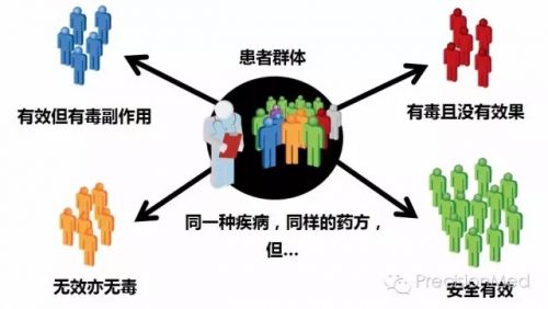 药物代谢酶和药物作用靶点基因检测项目(1）
