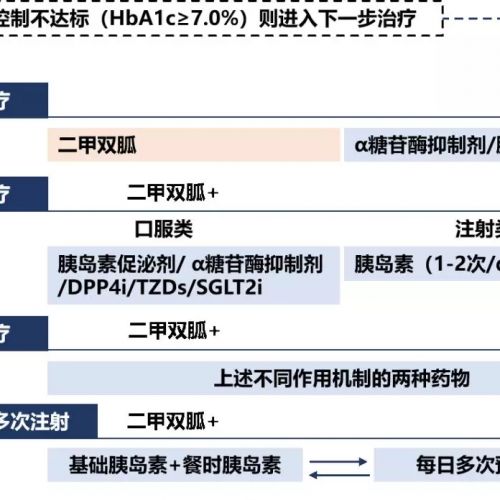 指南解读：2018 ADA糖尿病诊疗标准（下）