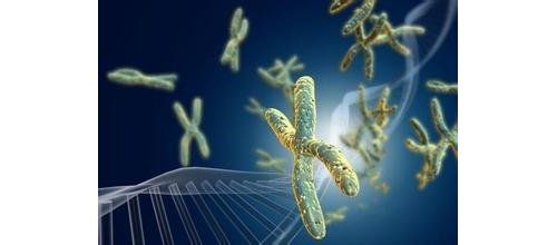 中国NSCLC EGFR T790M突变检测的专家共识正式发布！