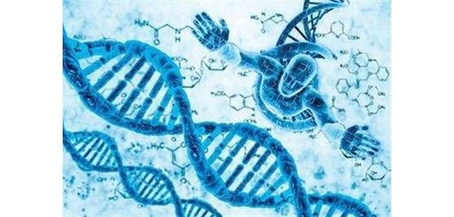 抗中性粒细胞胞浆抗体检测的临床应用专家共识