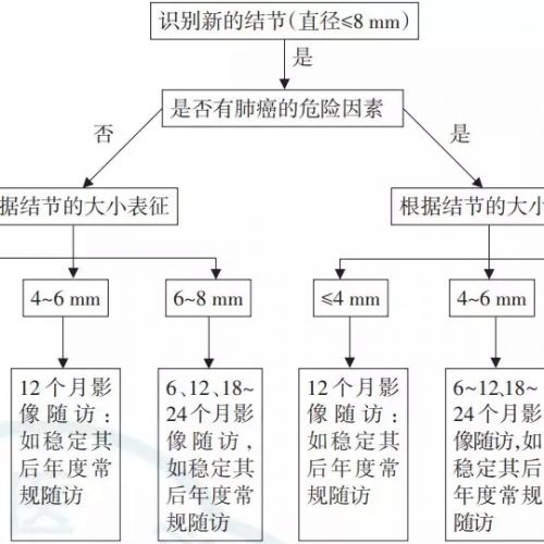肺结节诊治中国专家共识（2018年版）（下）