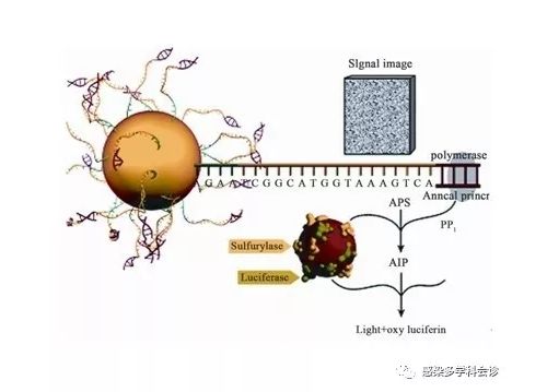 二代测序技术在临床微生物领域中的应用