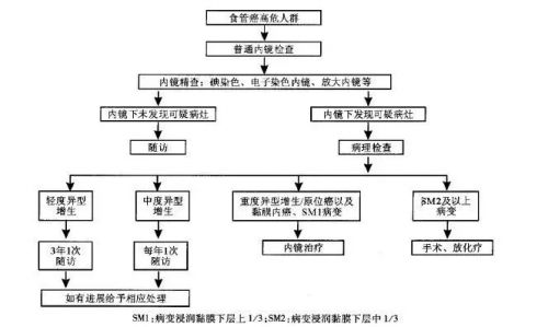 癌症预防和筛查专家共识