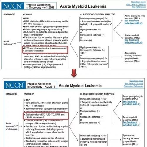 NCCN指南解读——基因突变检测，促进AML患者个体化治疗！