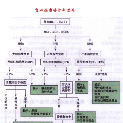 贫血病因的诊断思路
