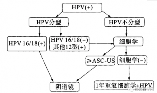 宫颈癌筛查共识及HPV数据