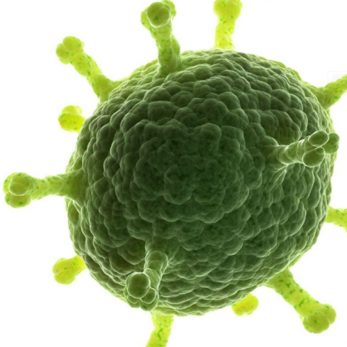 医疗机构真菌检测将有标可循