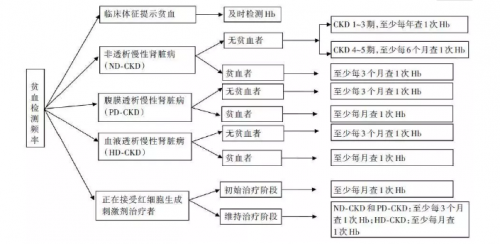 肾性贫血诊断和治疗