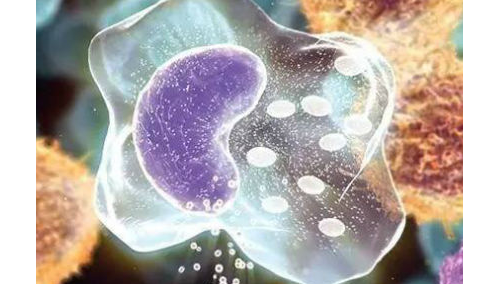 临床微生物学检验标本的采集和转运共识（下）