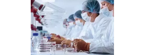 性传播疾病核酸检测系列（一）--淋病奈瑟球菌