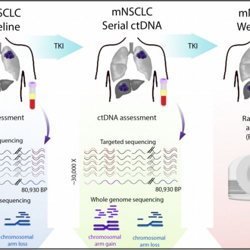 势不可挡！Cancer Research双重磅：液体活检确实是监测肺癌的利器！ ...