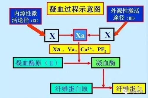 你真的记住了这些凝血指标吗？