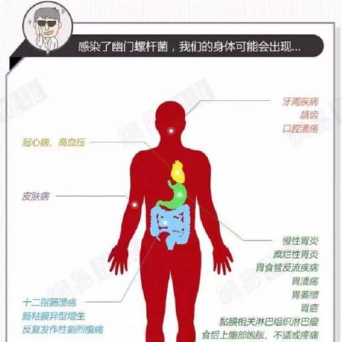幽门螺杆菌如何治疗？能根除吗？