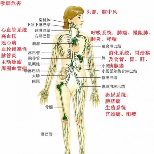 吸烟危害又有新证据，戒烟又出新办法！