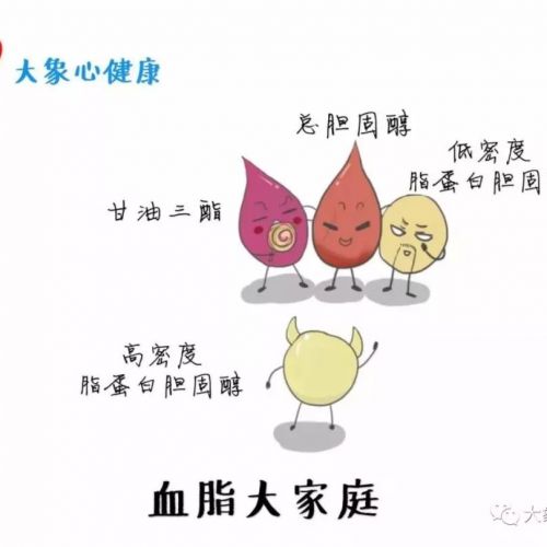 血脂四项怎么看？这篇文章讲明白了