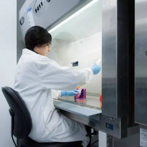 干货：生物安全柜的标准操作规程