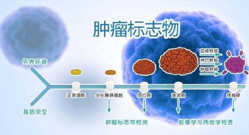 不同医院检测的肿瘤标志物结果有可比性吗?