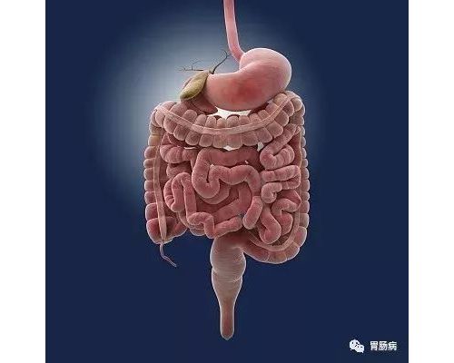 小心！这样的大便，可能是大肠癌来临！