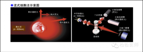 干化学和尿沉渣，到底该信哪个？