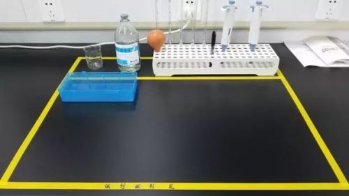 5S实验室管理心得体会分享