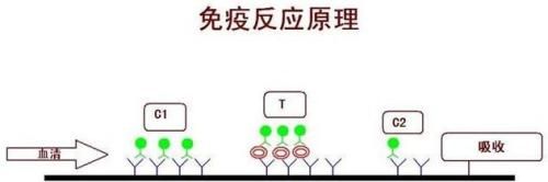 CUT  OFF值是怎么确定的