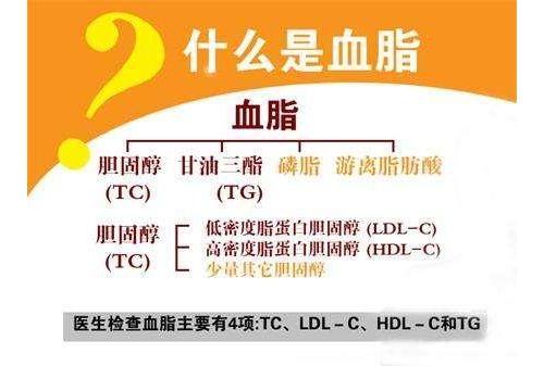 轻松看懂血脂化验单，抓住这几点就够了！
