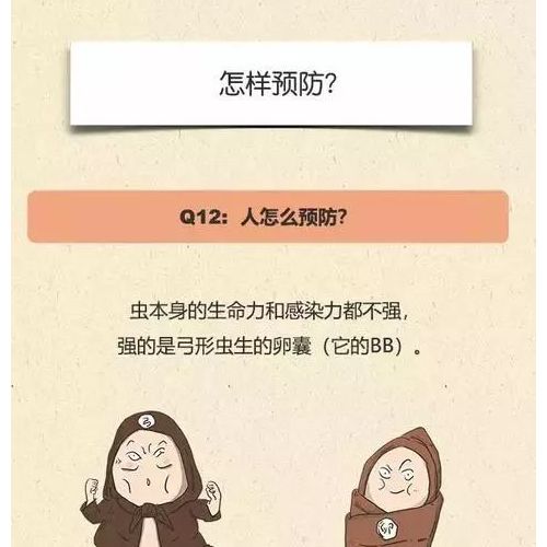 弓形虫，有多可怕？