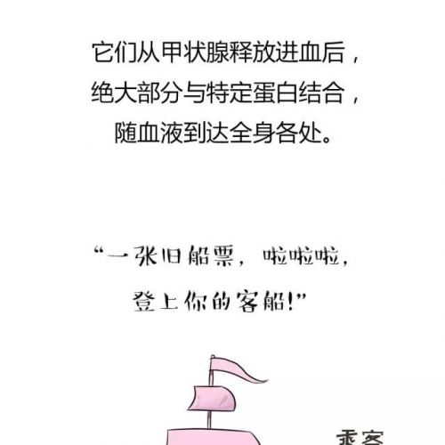 你了解T4和T3吗？
