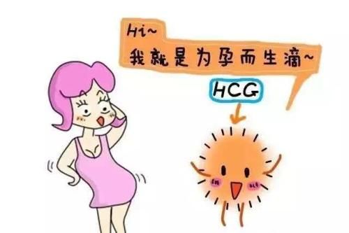 检测孕酮到底有什么用？