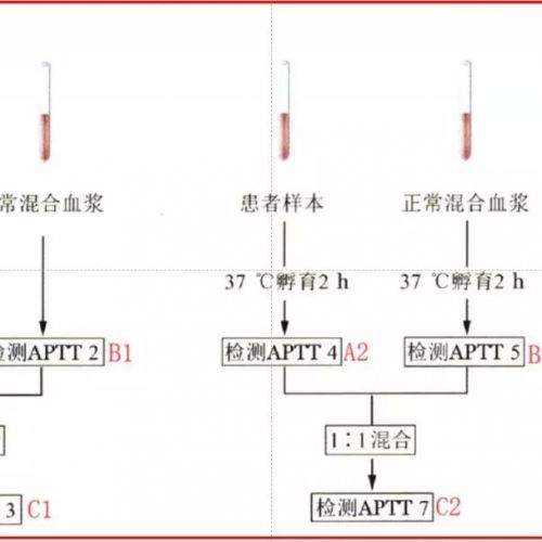 纠正试验：混合·孵育·纠正