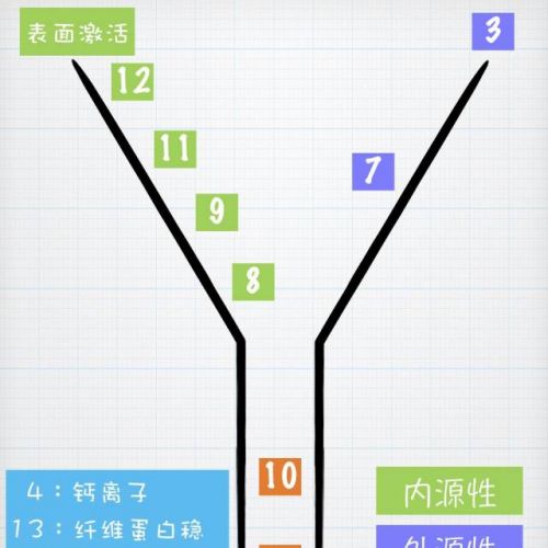 五张图教你掌握凝血因子，再也不用怕记不住了！
