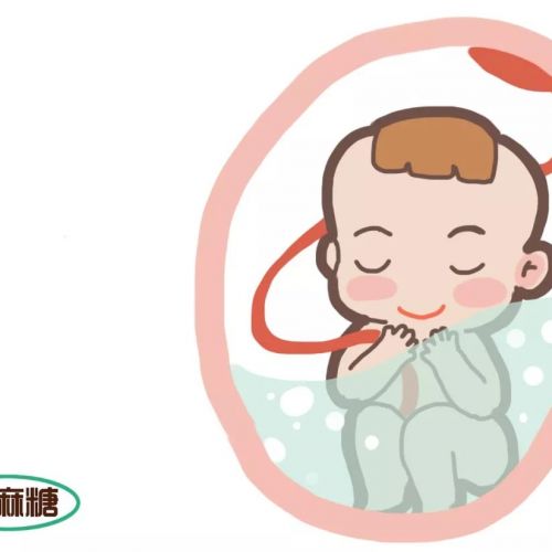 “试管婴儿”是在试管里长大的吗？