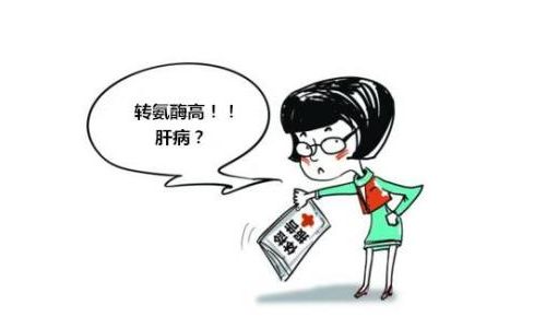 转氨酶常见的三大误区，快进来看看