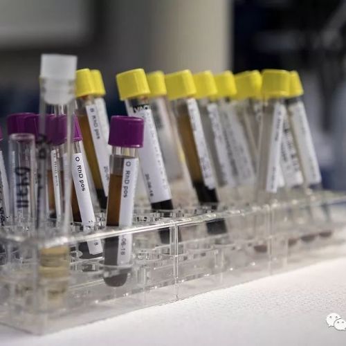 检验人在医疗行业处于何种地位？对临床有何价值？