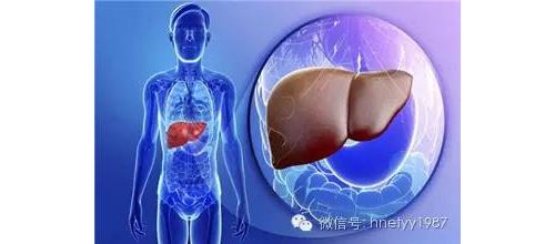 体检时转氨酶升高为哪般？