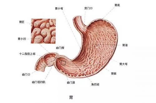 从胃炎到胃癌，仅仅只有4步！