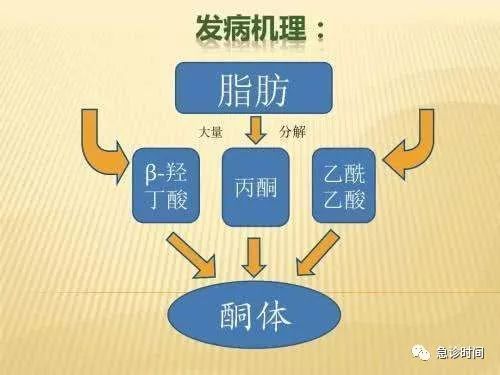 化验单解读之血酮体