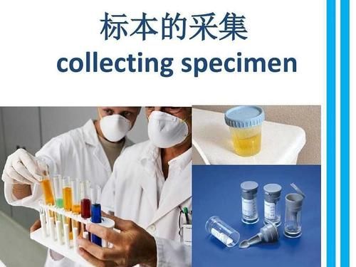 检验标本正确采集的医学意义