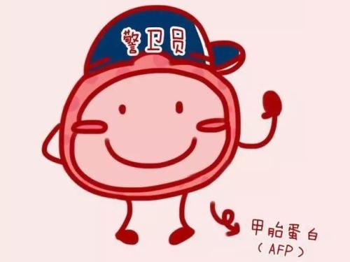 甲胎蛋白与肝癌之间的认识误区