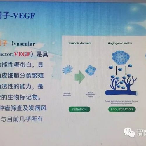 检验科新项目——血管内皮生长因子（VEGF），可用于肿瘤筛查 ...